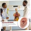 BIUDECO Silicone Human Ear Model for Helix Piercing Practice Piercing Stuff Jewelry Display Ear Cleaning Exercise view 4