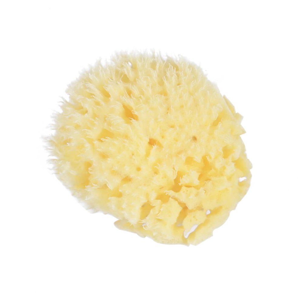 Ipetboom Honeycomb Sponge Bath Sponge Safe Natural Material for Exfoliating Massage Cleansing