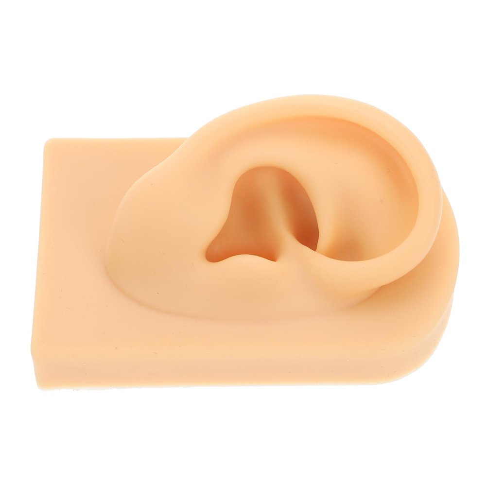 Ipetboom Professional Piercing Practice Body Parts Fake Ear Model Ear Piercing Training Mold