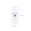 Ipetboom USB Rechargeable Portable Facial Sprayer Moisturizing Shrink Pores Cool Mist for Women view 2