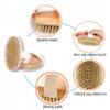 2 Pcs Dry Brushing Body Brush,Natural Bristle Exfoliating Body Scrubbers for Dead Skin,Cellulite,Lymphatic Drainage and Improve Blood Circulation view 2
