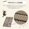 Iris Ohyama P-YT650 Nail Sharpener with Matabi Formulated Cat File Brown, Braun view 3
