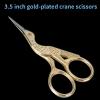 Ingrown Toenail Professional Stainless Steel Small Nail Scissors Manicure Tool Beauty Art Nails Tools Pedicure Sharp Remover Scissors Clipper (Color : A) view 3