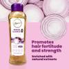ANYELUZ Onion Shampoo, Conditioner and Hair Therapy, with Onion Extract and Vitamin E, Cleanses and Reduces Oiliness, for all Hair Types view 2
