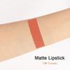BINGBRUSH Smooth Longwear Lipstick Pack Set, Matte Color Stick Ultimate Lip Crayon for Makeup Collection - Waterproof Velvet Lipgloss Lip Stain (19#) view 3