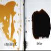 BVV Pure-Flo B80 Natural Bentonite for Bleaching & Decolorizing Edible Oils-20 Bags - Half Pallet view 2