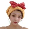 Hair Dry Cap, Bowknot Shower Cap, Water Absorbent Elastic Wrap Quick Drying Cap Hat, for Girls and Women, for Wet Hair Long Thick Hair (Color : D) view 1