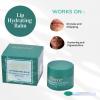 Perenne Lip Hydrating balm For (Mint Choco) With Hyaluronic acid and SPF (10 gm) view 4