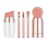 Makeup Brush Set, Portable Travel Lip Brush, Highlight Brush, Eyeshadow Brush, Eyebrow Brush, Loose Powder Brush, 5 in 1 Mini Facial Cosmetic Makeup Brush Set (Electroplated Rose Gold) view 4