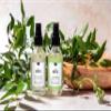 Edens Garden Yuzu Cannabliss Bath & Body Oil  Citrus Blend with Pure Essential Oils & Vitamin E for Moisturizing Dry Skin  Natural Uplifting Aromatherapy Scented Oil for Men & Women, 2 fl oz (59 ml) view 2