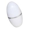 MAGICLULU 4pcs Oil Absorbing Roller for Face Volcanic Stone Blotting Moisturizer for Oily Skin view 2