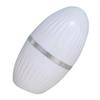 MAGICLULU 4pcs Oil Absorbing Roller for Face Volcanic Stone Blotting Moisturizer for Oily Skin view 4