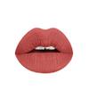 Aromi Ginger Spice Matte Liquid Lipstick | Nutmeg, Terra Cotta Lip Color, Vegan & Cruelty-free Beauty, Burnt Orange, Long-lasting, Smudge Proof, Handmade (Ginger Spice) view 1