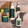 Canviiy ScalpBliss Itch-Calming Serum, Long-Lasting Soothing Scalp Moisturizer for Dry itchy Scalp, Enriched with Aloe Vera, Witch Hazel, Manuka Honey and Peppermint Oil (Natural Based) view 2