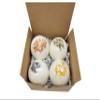 Bath bombs gift set made organic natural ingredients great valentine's gift for women men kids handcraft unisex spa birthday gift ideas her view 1