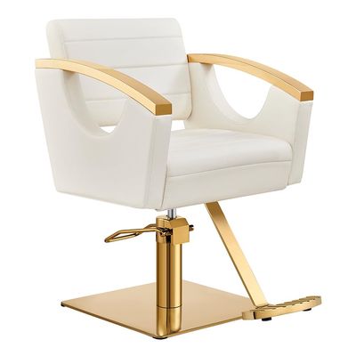 Dir Salon Styling Chair Hair Salon Stylist Chair w/Gold Frame Bello
