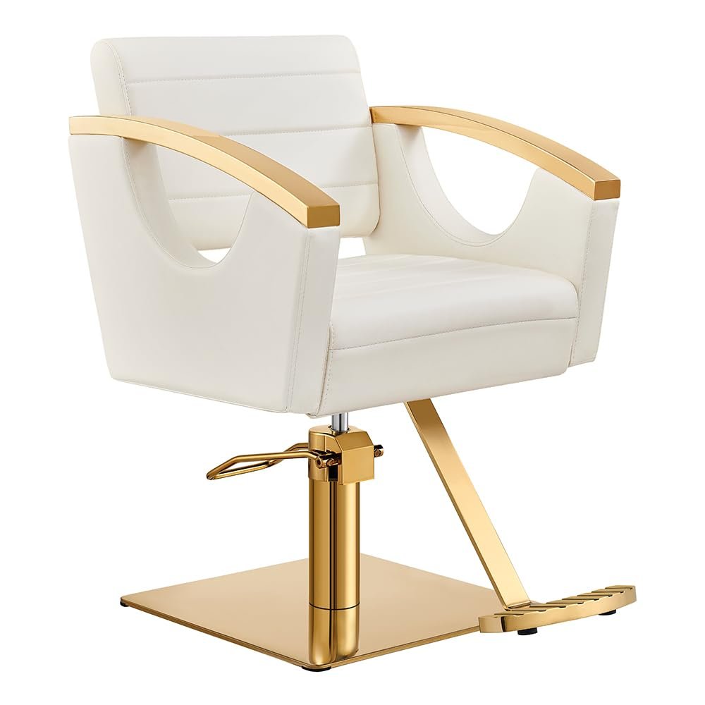 Dir Salon Styling Chair Hair Salon Stylist Chair w/Gold Frame Bello