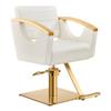 Dir Salon Styling Chair Hair Salon Stylist Chair w/Gold Frame Bello view 1