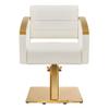 Dir Salon Styling Chair Hair Salon Stylist Chair w/Gold Frame Bello view 3