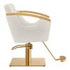 Dir Salon Styling Chair Hair Salon Stylist Chair w/Gold Frame Bello view 4