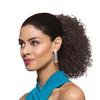 10" Length Drawstring Ponytail DS21 Color 34 - (2 Pack) Cheerleading Looser Spiral Curls Fusion Heat Friendly Synthetic Fiber Womens Lightweight Black Women Curly Cheer Bundle Hairloss Booklet view 1