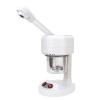 ,Beauty Steamer, Beauty Salon Spa Humidifier, Hot Mist Humidifier Portable Beauty Salon Hydrating Moisturizing Spray Machine Improving Skin or Dry Hair view 1