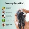 Biotin Rosemary Shampoo and Conditioner Set - Vegan Biotin Shampoo and Conditioner Set Volumizing Complex with Rosemary Essential Oil for Fine Weak & Dull Hair - Sulfate & Paraben Free (16 Fl Oz) view 3