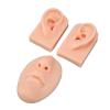 Airshi Piercing Practice Model, Portable and Safe Display Nose Model for Piercing Salon for Doctor (Light Beige) view 2