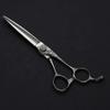 Stainless Steel Barber Hairdresser Professional Hairdressing Scissors 6 Inch,Silver view 1