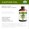velona USDA Certified Organic Castor Oil  16 fl oz in Glass Bottle | Cold-Pressed, Hexane-Free, USP Grade | Promotes Hair Growth, Eyelash & Eyebrow Enhancement | Bottled in USA view 2