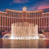 Bellagio Moisturizing Hand Wash - Scented with Cedarwood, Green Mandarin, Lavender - Cleansing & Hydrating Skin Care - Vegas Hotel Hand Soap - 10 oz view 4