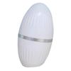 FOMIYES 3pcs Oil Blotting Roller Volcanic Stone Roller Absorbing Volcanic for Face Oil Remover for Oily Skin view 4
