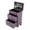 awolsrgiop Makeup Train Case, Rolling Makeup Case Trolley Train Box Organizer w/ 4 Wheels Travel Cosmetic Makeup Storage Organizer Cosmetology Case on Wheels Nail Polish Organizer (Purple) view 1