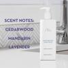 Aria Moisturizing Hand Wash - Scented with Cedarwood, Green Mandarin, Lavender - Vegas Hotel Hand Soap - 10 oz view 3
