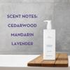 Aria Hydrating Shampoo - Aloe & Lavender - Scent of Cedarwood, Green Mandarin, and Lavender - Vegas Hotel Shampoo - 10 oz view 3