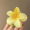 DUERDU Hair Pins Colorful Grab Clip, Personality, Niche Temperament, Back Brain Spoon Grab Clip, Ins Shark Clip Hair Accessory Hair Styling Accessories (Color : FJ4899) view 2