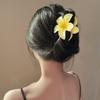 DUERDU Hair Pins Colorful Grab Clip, Personality, Niche Temperament, Back Brain Spoon Grab Clip, Ins Shark Clip Hair Accessory Hair Styling Accessories (Color : FJ4899) view 3