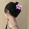 DUERDU Hair Pins Colorful Grab Clip, Personality, Niche Temperament, Back Brain Spoon Grab Clip, Ins Shark Clip Hair Accessory Hair Styling Accessories (Color : FJ4899) view 4