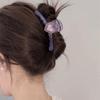 Hair Pins Summer New Love Back Spoon Shark Clip Temperament Plate Hair Clip Grip Clip Hair Clip Girl Hair Styling Accessories (Color : FJ3700) view 2