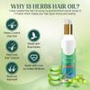 13 Herbs Hair Oil Handmade Natural Hair Oil With Coconut Oil, Curry Leaves & More Hair Fall Control Oil For Dry Damaged Hair, 100ml view 4