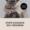 Eye Envy ProGlide Deshedding and Detangling Comb for Long-Haired Cats | Remove Undercoat, Excess Hair, Tangles & Knots | 6" Dual-Tooth Comb with Rounded Pins view 4