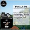 Naturevibe Botanicals Borage Oil 32 Ounces | 100% Pure and Natural | Great for Skin Care and Hair Care view 3