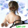 10 Pcs Double Flower Rhinestone Hair Clips fancy decorative hair clip hair accessories for women crystal hair barrettes hair decorations women thick hair view 2