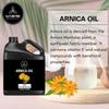 Naturevibe Botanicals Arnica Oil 32 Ounces | 100% Pure and Natural | Great for Skin Care and Hair Care view 3