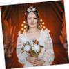 Beatifufu Bridal Swan Crown Alloy Tiara for Women Wedding Bride Jewelry Lightweight Elegant Headpiece with Sturdy Structure and Detailed Workmanship Stylish Side Comb Hair Accessory view 2