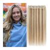 Hair Extensions Hair Clip In Hair Extensions Real Human Hair One Piece Hair Extensions One Piece Clip in Hair Extensions for women Straight Hair with 5 Clips (Highlight Color #8/613) Hair Extensions C view 1