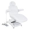 Artist hand 3 Motors Aesthetic Chair Dual Control Full Electrical Medical Facial Beds for Esthetician Beauty Bed Podiatry Doctors Chair view 1