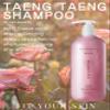 FIT YOUR SKIN TAENG TAENG Elasticity Hair Shampoo- pH 5.5 Keratin & Protein Perfumed Shampoo for Thicker, Fuller Looking Hair - Rose Garden Scent - Paraben Free - 17 fl.oz view 2