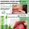 4PCS Aloe Vera Color Changing Lipstick,Temperature Color Change Lip Gloss Makeup Set,Waterproof Long Lasting Aloe Vera Tinted Lip Balm Moisturizer,Moisturizing PH Mood Magic Lipstick for Women view 2