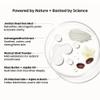 WILD OAK Dead Sea Healing Mud Clay Mask for Face | 2% Niacinamide, Calendula & Zinc Oxide | Paraben & Sulphate Free | Blemishes, Evens Skin Tone, Enhances Radiance | For All Skin Types | 3.52 oz view 2